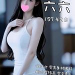 六六