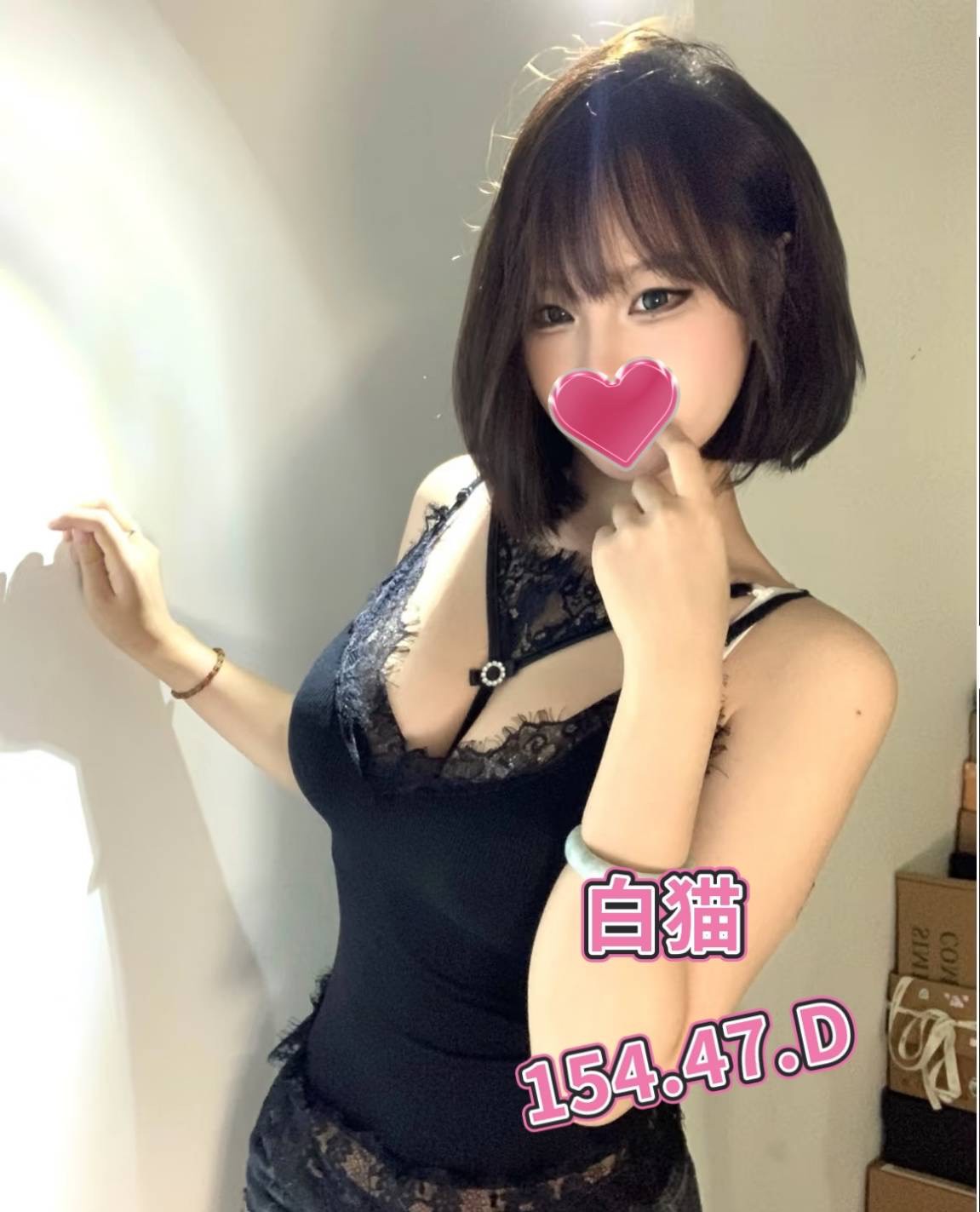 白貓