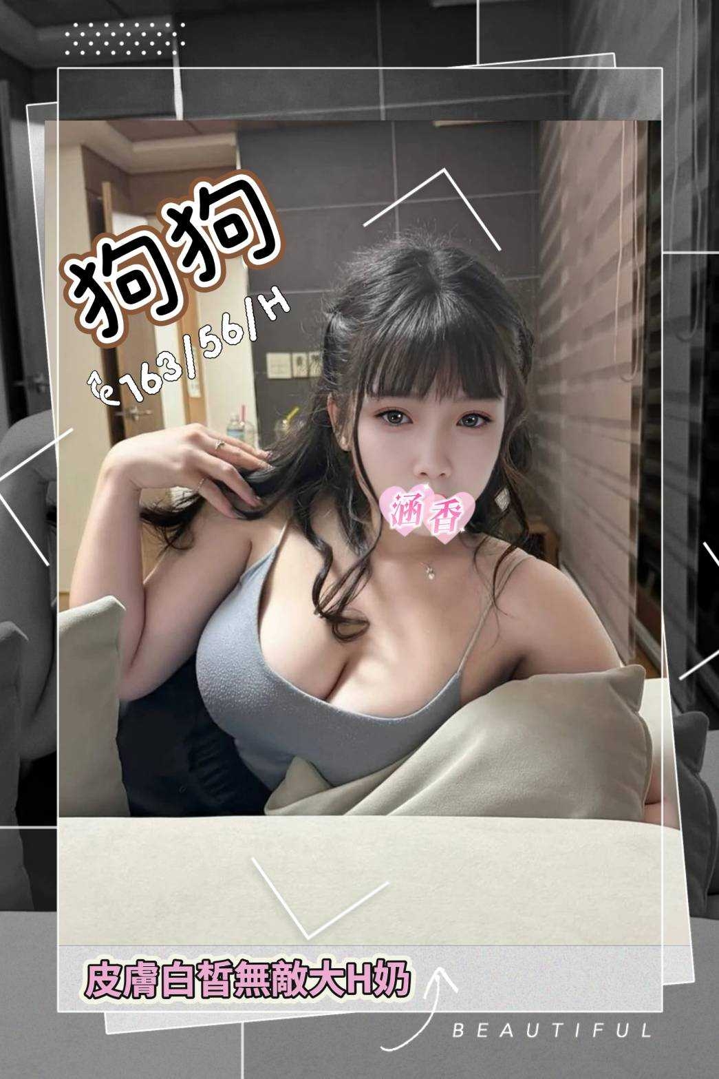 狗狗