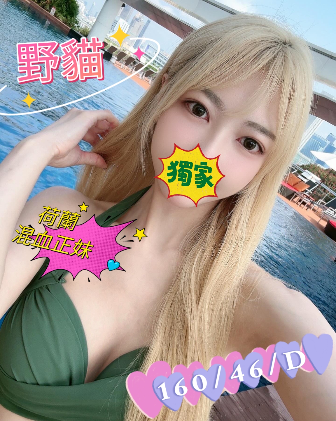 野貓